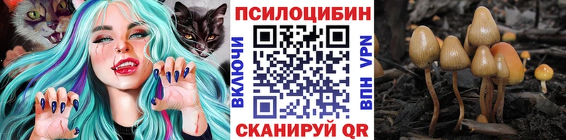 Галлюциногенные грибы Psilocybe  закладка  Асино 