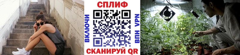 Канабис сатива  blacksprut ссылки  Асино 